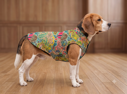 Royal Multi-Color Brocade Dog Sherwani with Teal Accents & Pearl Bead Lace