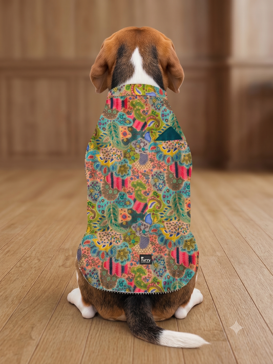 Royal Multi-Color Brocade Dog Sherwani with Teal Accents & Pearl Bead Lace