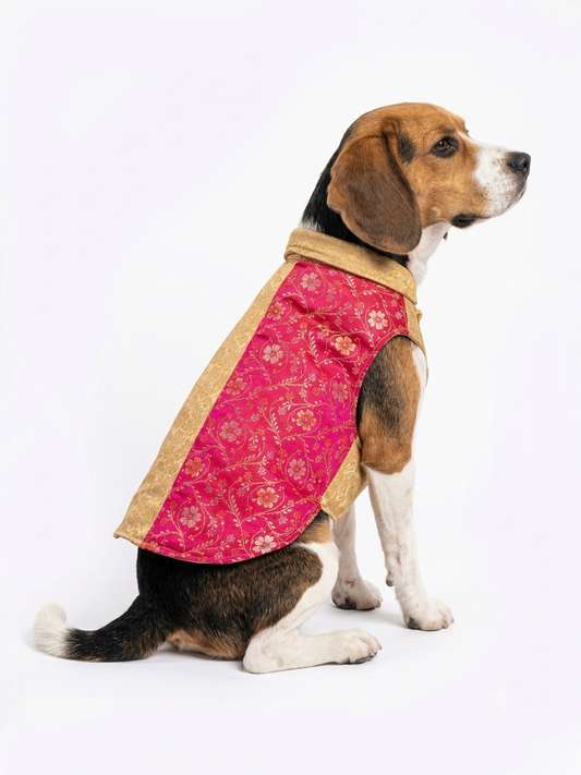 Dual-Tone Designer Dog Sherwani Vest – Gold & Floral Pink Brocade Festive Outfit
