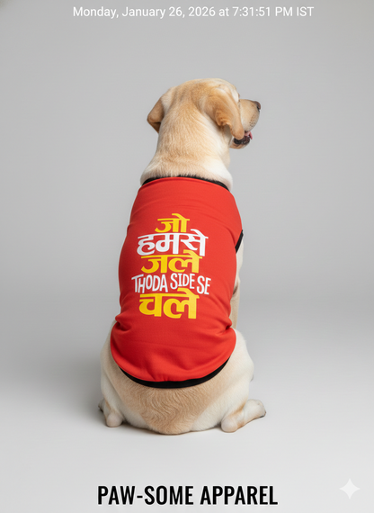 Paw-Some Apparel: "Thoda Side Se" Sassy Winter Dog T-Shirt