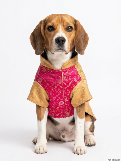 Dual-Tone Designer Dog Sherwani Vest – Gold & Floral Pink Brocade Festive Outfit