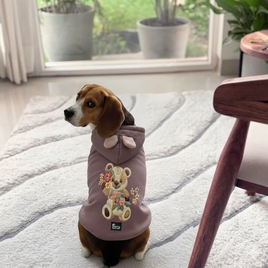 🐾 Teddy Bloom Dog Sweatshirt: Cozy Style with a Touch of Whimsy! 🌸