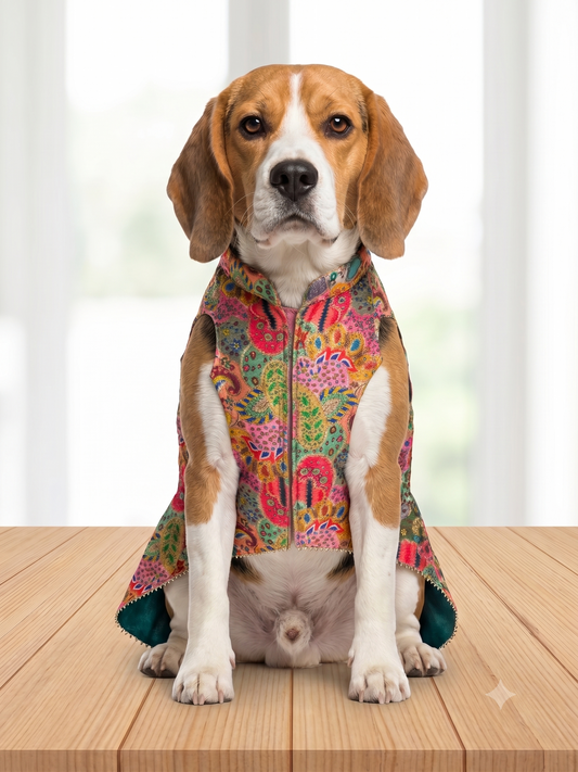 Royal Paisley Multi-Color Dog Sherwani with Teal Accents & Beaded Lace