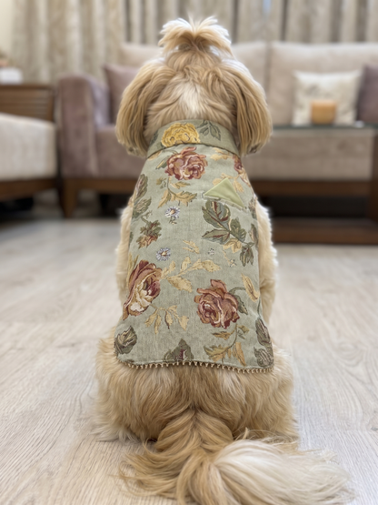 Royal Floral Brocade Dog Vest / Sherwani for Shih Tzus & Small Dogs