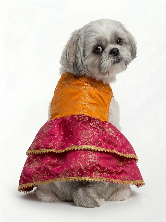 Festive Mustard & Magenta Brocade Ethnic Dog Frock | Traditional Pet Lehenga Dress