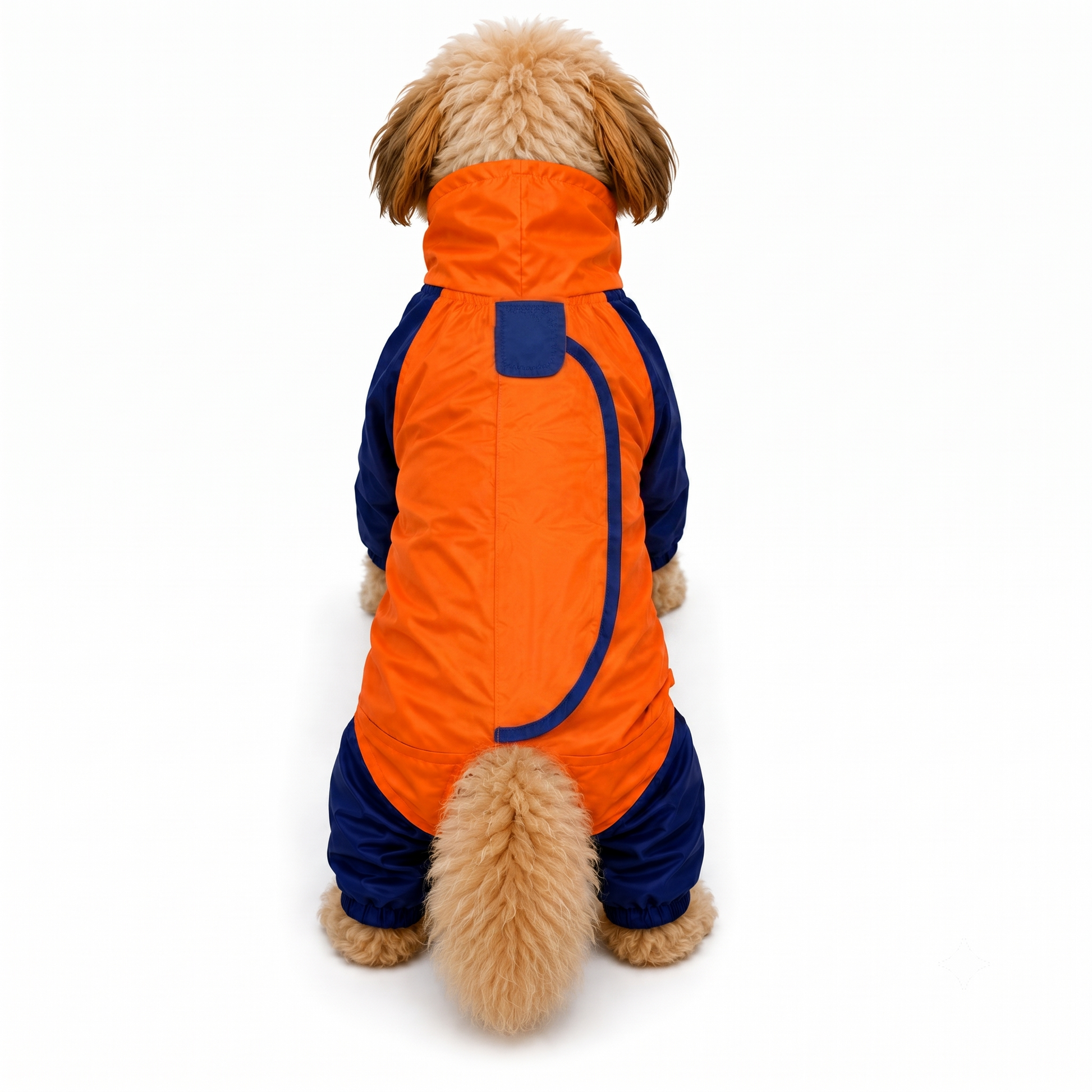 A small fluffy dog viewed from behind wearing a bright orange and navy blue hooded jacket, isolated on a white background.