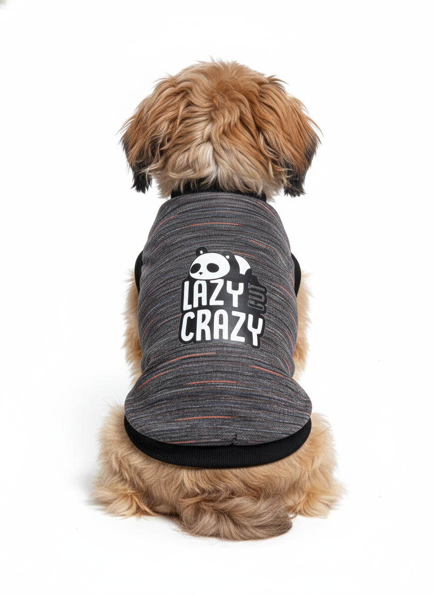 🐼 The "Lazy But Crazy" Space-Dye Dog T-Shirt