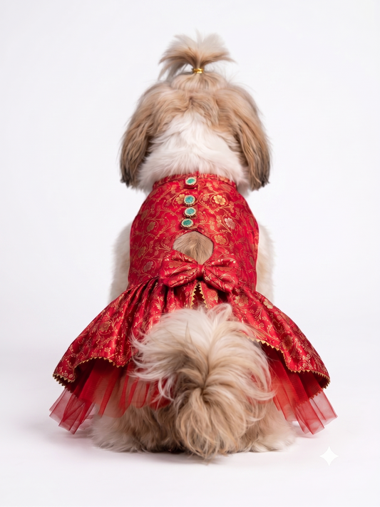 Royal Crimson Brocade Festive Pet Lehenga Dress