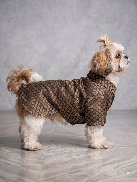 Royal Black & Gold Brocade Dog Sherwani – Premium Festive Wear for Pets