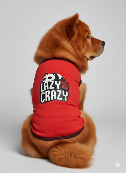Keep Your Pup Cozy & Quirky: "Lazy But Crazy" Dog Winter T-Shirt