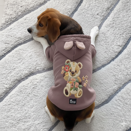Dog wearing a purple hoodie with a teddy bear design on a textured surface