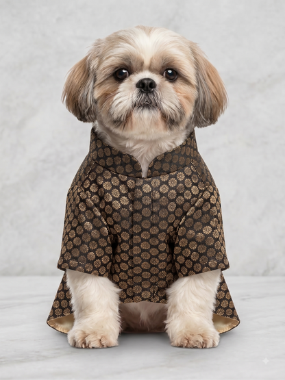 Royal Black & Gold Brocade Dog Sherwani – Premium Festive Wear for Pets