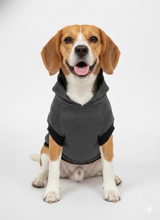 Air Jordan Retro Dog Hoodie – Cozy Charcoal Fleece Pullover