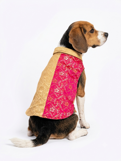 Dual-Tone Designer Dog Sherwani Vest – Gold & Floral Pink Brocade Festive Outfit