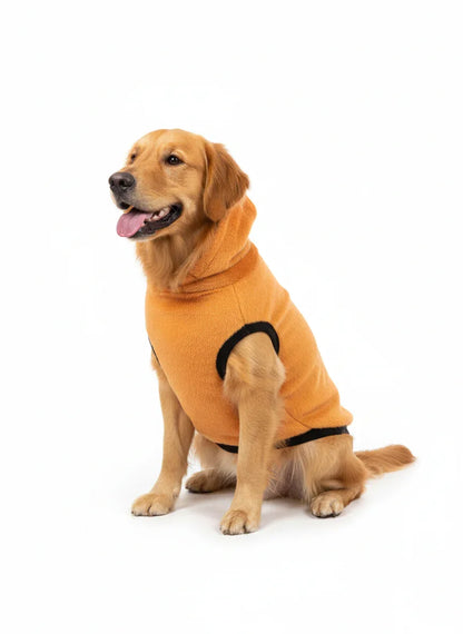 Bear Ear Dog Hoodie - Winter Dog Hoodie for All Breeds