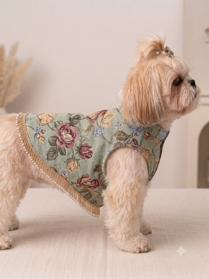 Royal Floral Brocade Dog Vest / Sherwani for Shih Tzus & Small Dogs