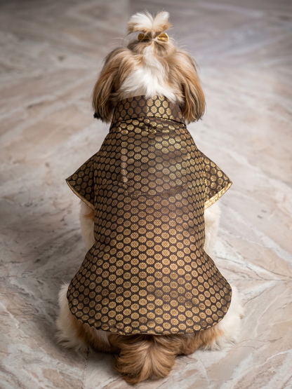 Royal Black & Gold Brocade Dog Sherwani – Premium Festive Wear for Pets