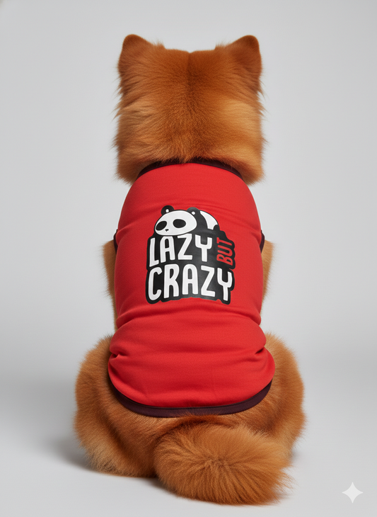 Keep Your Pup Cozy & Quirky: "Lazy But Crazy" Dog Winter T-Shirt
