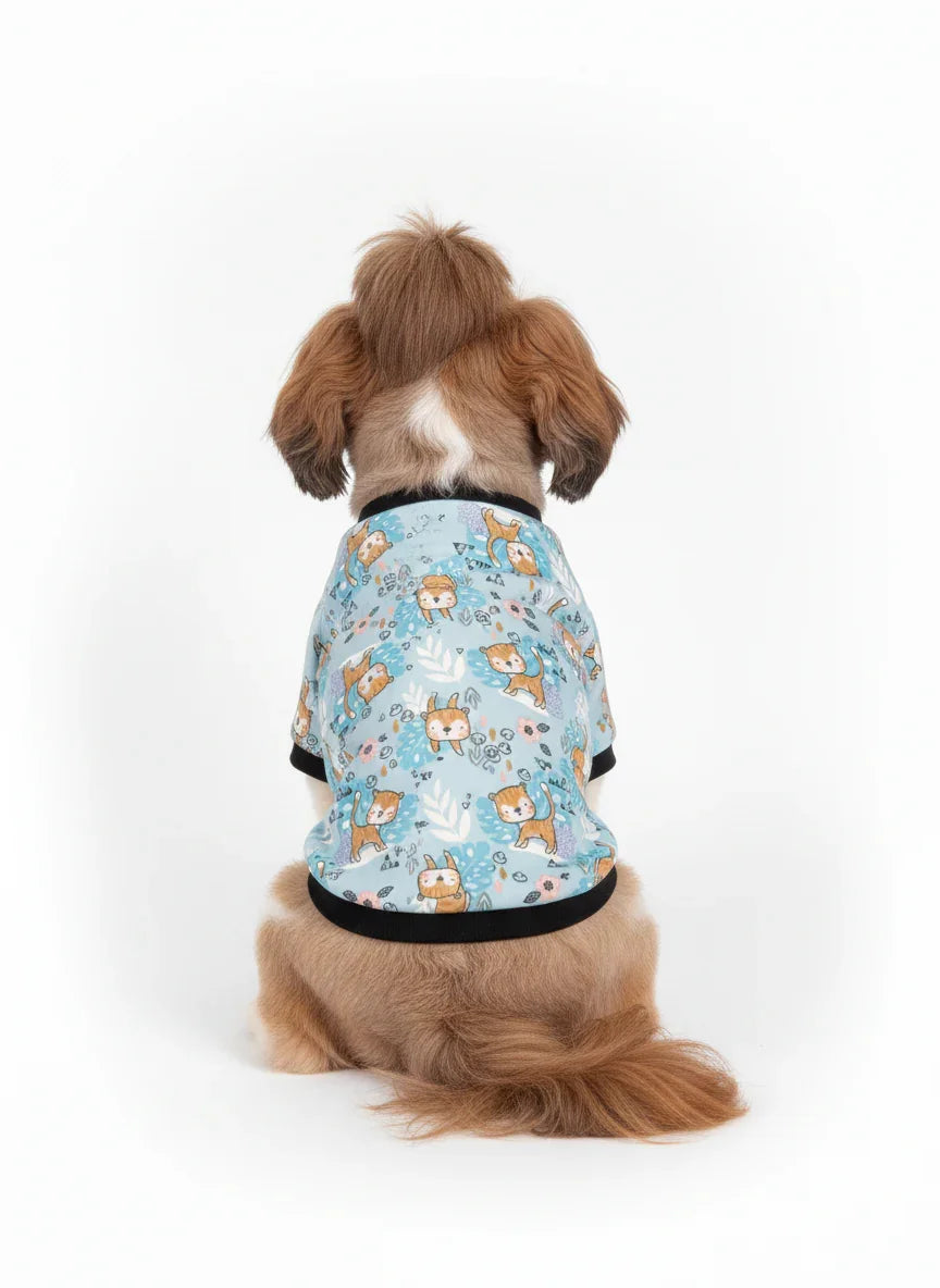 Dog wearing a blue patterned shirt on a white background