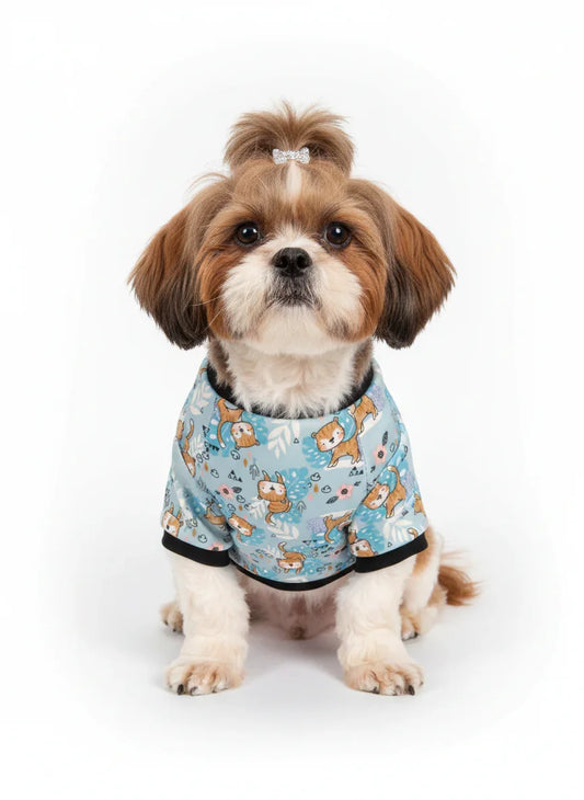 Small dog wearing a blue patterned outfit on a white background