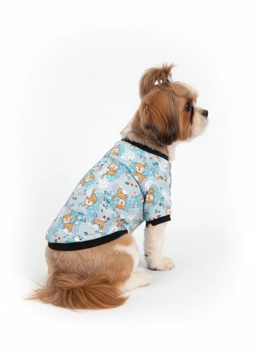 Dog wearing a blue patterned shirt on a white background