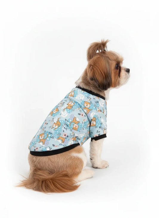 Dog wearing a blue patterned shirt on a white background