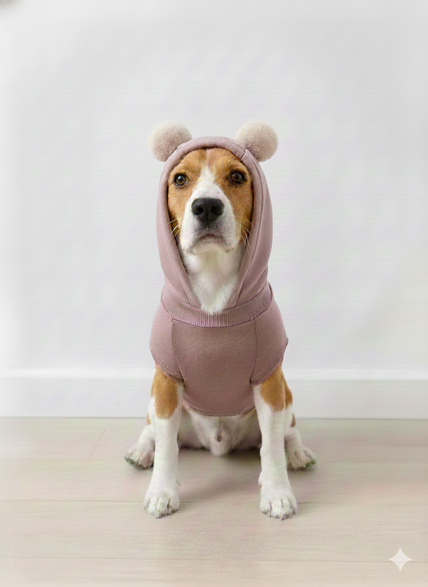 A dog wearing a pink SWEATSHIRT HOODIE with bear ears on a white background