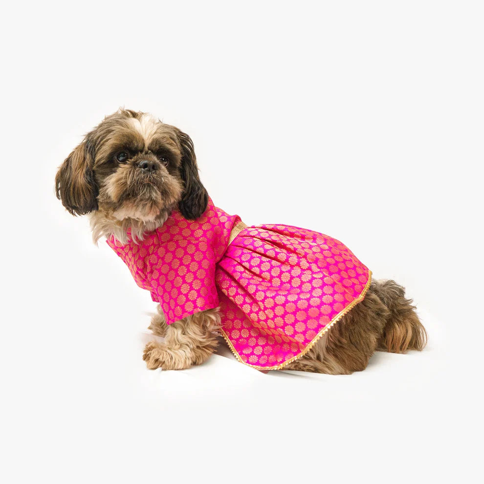 🌸 Festive Pink & Gold Brocade Ethnic Dog Dress