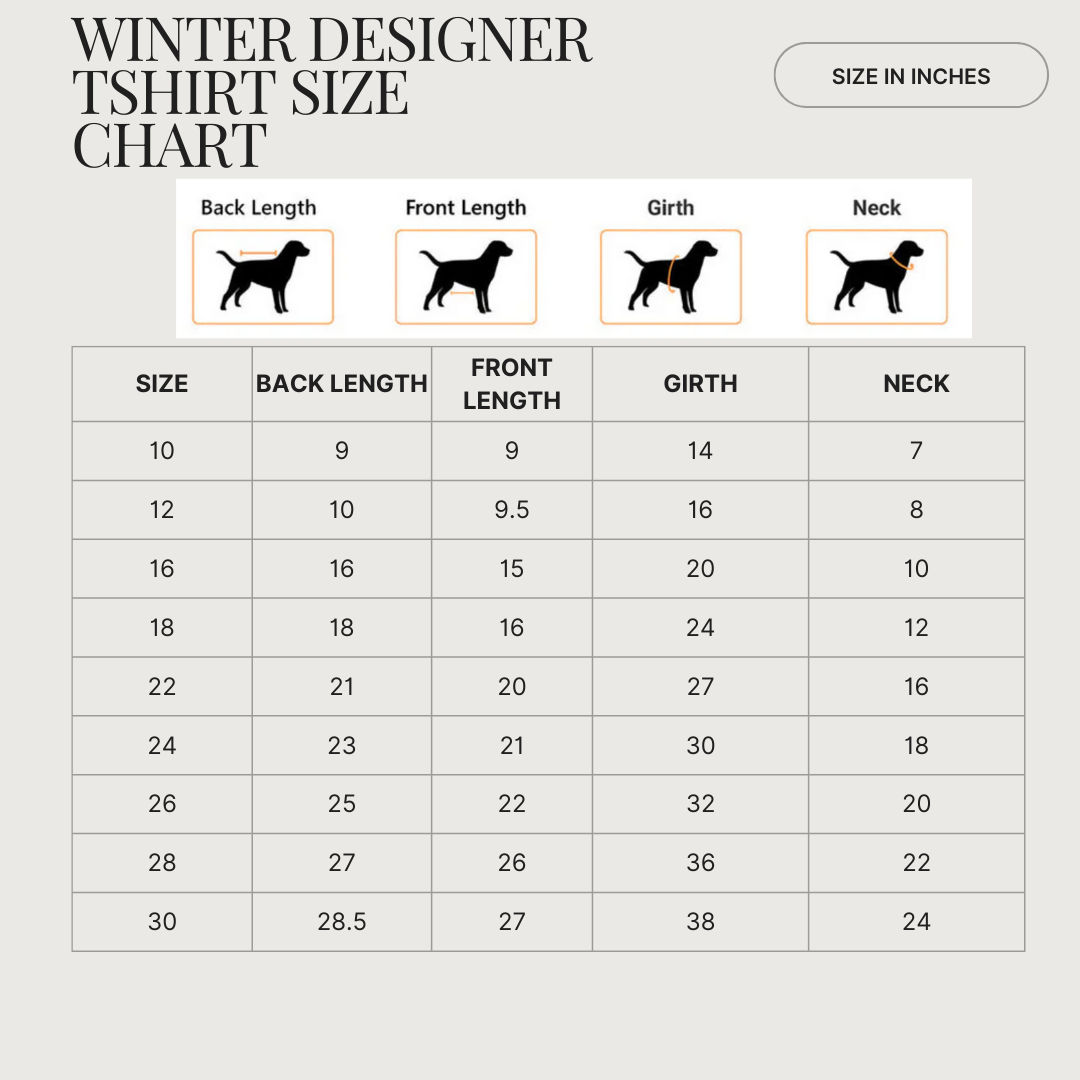 Paw-Some Apparel: "Thoda Side Se" Sassy Winter Dog T-Shirt