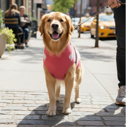 Paws & Bones Cozy Knit Dog Sweater - Warmth Meets Whimsy!