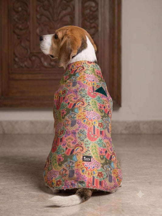 Royal Paisley Multi-Color Dog Sherwani with Teal Accents & Beaded Lace